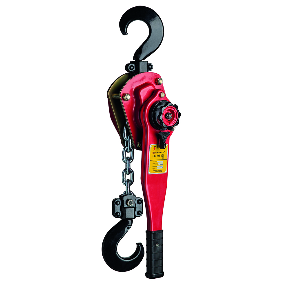 Delta DR.0.0741503 Paranco a cricchetto Premium con ganci di spedizione - 1,5 tonnellate - 3 metri