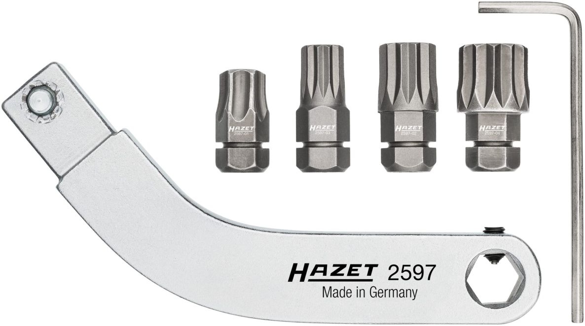 Hazet 2597-2/5 Set di portapunte curvi per cerniere da porta, da inserire, 9 x 12 mm, 5 pezzi
