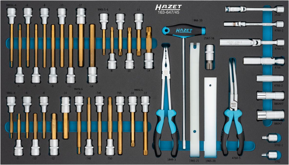 Hazet 163-647/45 Set di utensili da 45 pezzi: 3/8" quadrato cavo, 1/2" quadrato cavo, esagono esterno, esagono interno, XZN, profili Torx interni